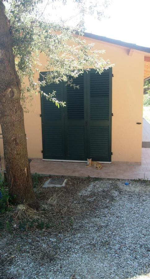 Agriturismo Ardizio 43 Pesaro Exterior foto