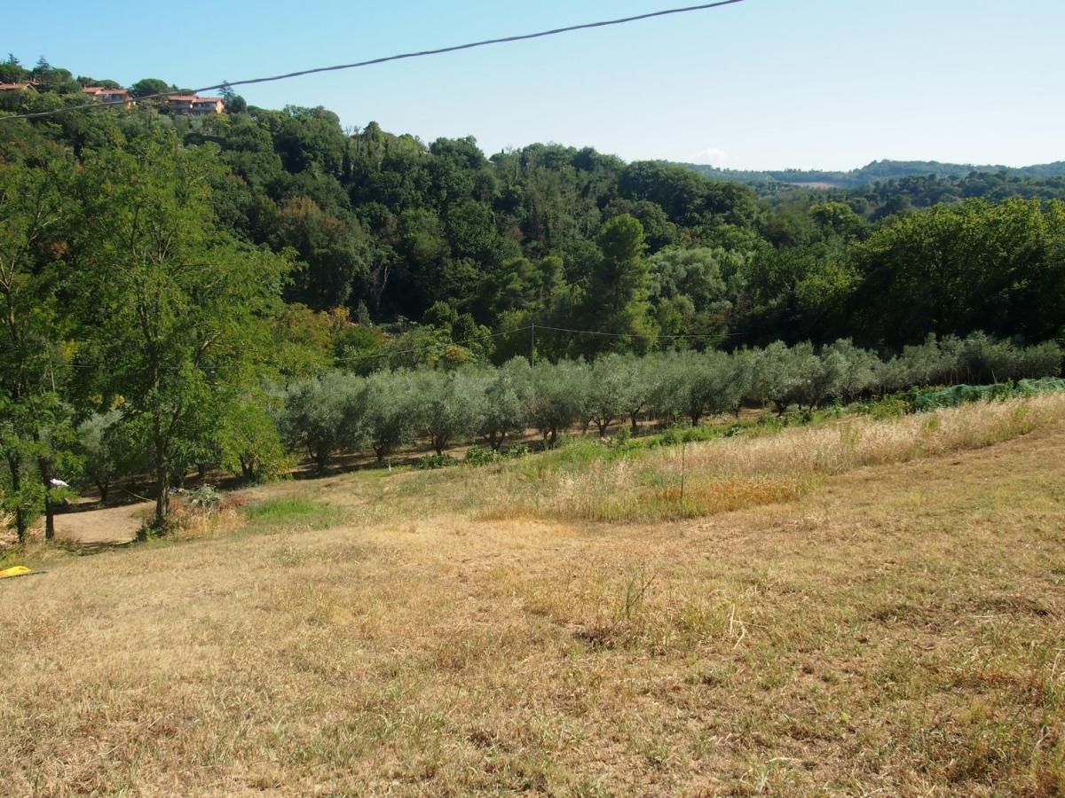 Agriturismo Ardizio 43 Pesaro Exterior foto
